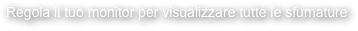 Regola il tuo monitor per visualizzare tutte le sfumature