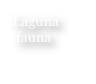 Laguna
 fauna
