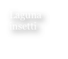 Laguna
insetti
