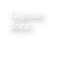 Laguna
flora
